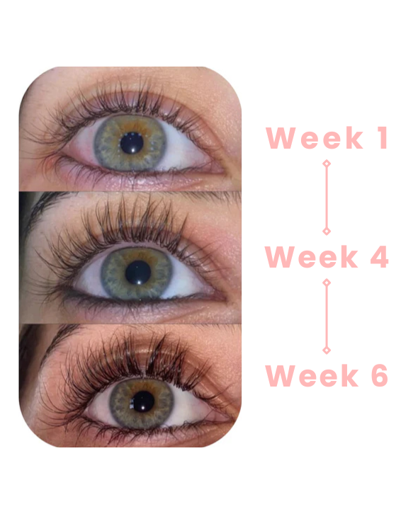 Lashella Eye lash Growth Serum